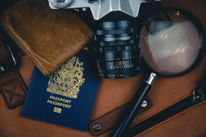 TRAVELLING DOCUMENTS